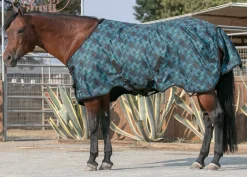 KENSINGTON ™ Pony Signature Heavyweight Turnout Blanket- Turnout Blankets