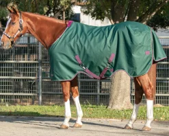 KENSINGTON ™ Pony Signature Heavyweight Turnout Blanket- Turnout Blankets