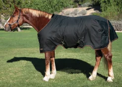 KENSINGTON ™ Pony Signature Lightweight Turnout Blanket- Turnout Blankets