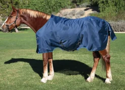 KENSINGTON ™ Pony Signature Lightweight Turnout Blanket- Turnout Blankets