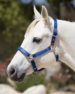 KENSINGTON ™ Premium Breakaway Halter- Halters
