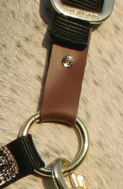 KENSINGTON ™ Premium Breakaway Halter- Halters