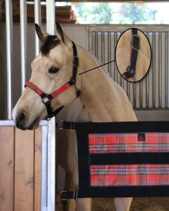 KENSINGTON ™ Premium Breakaway Halter- Halters