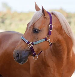 KENSINGTON ™ Premium Breakaway Halter- Halters