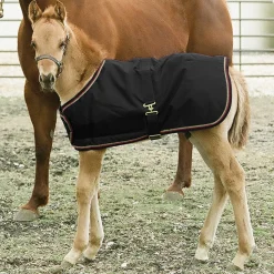 KENSINGTON ™ Signature Adjustable Large Foal Turnout- Turnout Blankets