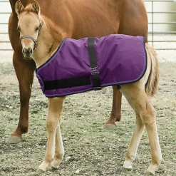 KENSINGTON ™ Signature Adjustable Large Foal Turnout- Turnout Blankets