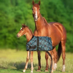 KENSINGTON ™ Signature Adjustable Large Foal Turnout- Turnout Blankets