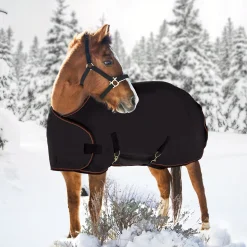 KENSINGTON ™ Signature Adjustable Yearling Turnout Blanket- Turnout Blankets