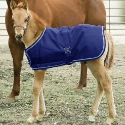 KENSINGTON ™ Signature Adjustable Small Foal Turnout Blanket- Turnout Blankets