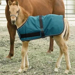 KENSINGTON ™ Signature Adjustable Small Foal Turnout Blanket- Turnout Blankets