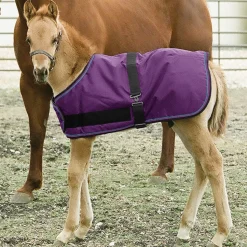 KENSINGTON ™ Signature Adjustable Small Foal Turnout Blanket- Turnout Blankets