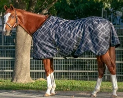 KENSINGTON ™ Signature Heavyweight Turnout Blanket- Turnout Blankets