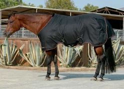 KENSINGTON ™ Signature Heavyweight Turnout Blanket- Turnout Blankets