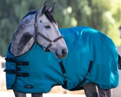 KENSINGTON ™ Signature Heavyweight Turnout Blanket- Turnout Blankets