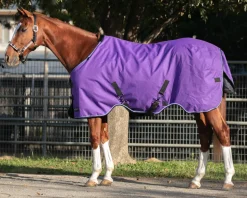 KENSINGTON ™ Signature Lightweight Turnout Blanket- Turnout Blankets