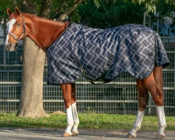 KENSINGTON ™ Signature Lightweight Turnout Blanket- Turnout Blankets