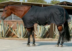 KENSINGTON ™ Signature Lightweight Turnout Blanket- Turnout Blankets