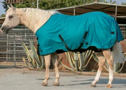 KENSINGTON ™ Signature Lightweight Turnout Blanket- Turnout Blankets