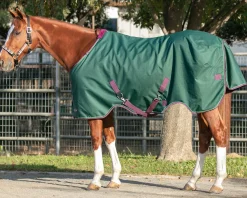 KENSINGTON ™ Signature Medium-Weight Turnout Blanket- Turnout Blankets