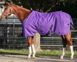 KENSINGTON ™ Signature Medium-Weight Turnout Blanket- Turnout Blankets