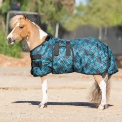 KENSINGTON ™ Signature Mini Lightweight Turnout Blanket- Turnout Blankets