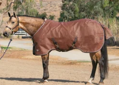 KENSINGTON ™ Signature Protective SureFit® Textilene®Fly Sheet- Fly Control|Fly Sheets