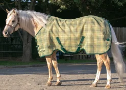 KENSINGTON ™ Signature Protective SureFit® Textilene®Fly Sheet- Fly Control|Fly Sheets