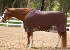 KENSINGTON ™ Signature Protective SureFit® Textilene®Fly Sheet- Fly Control|Fly Sheets