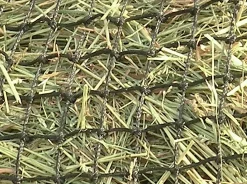 KENSINGTON ™ Slow Feed 4-Flake Hay Bag- Hay Bags, Nets & Racks|Stable Hardware