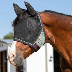 KENSINGTON ™ UViator CatchMask Protective Mask with Ears & Forelock Opening- Fly Control|Fly Masks