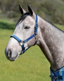 KENSINGTON ™ Premium Halter- Halters