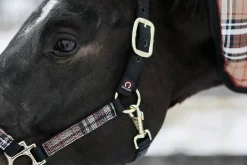 KENSINGTON ™ Premium Halter- Halters