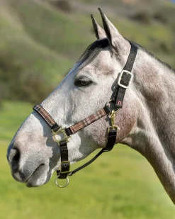 KENSINGTON ™ Premium Halter- Halters