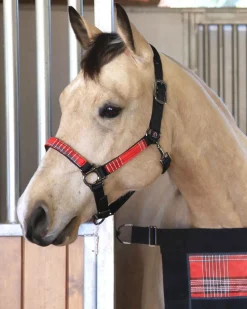 KENSINGTON ™ Premium Halter- Halters