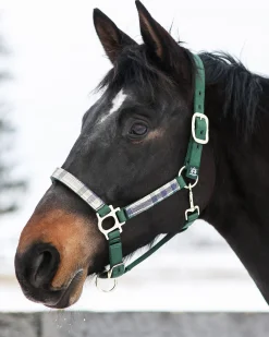 KENSINGTON ™ Premium Halter- Halters