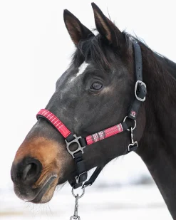 KENSINGTON ™ Premium Halter- Halters