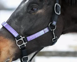 KENSINGTON ™ Premium Halter- Halters