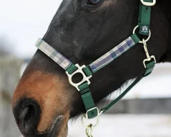 KENSINGTON ™ Premium Halter- Halters