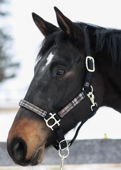 KENSINGTON ™ Premium Halter- Halters