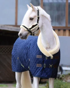 KENTUCKY HORSEWEAR Show Rug- Horse Coolers