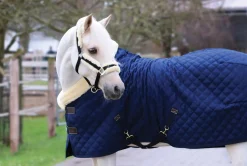 KENTUCKY HORSEWEAR Show Rug- Horse Coolers