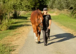 KERRITS  Ladies’ Microcord Bootcut Pocket Knee-Patch Breech - Regular- Knee Patch Breeches