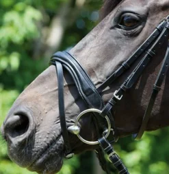 KIEFFER SATTLERWAREN Kieffer Perseus Snaffle Bridle with Plain Browband- English Bridles