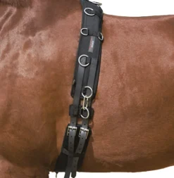 KIEFFER SATTLERWAREN Kieffer Surcingle- Lunging & Training Equipment