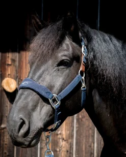 PARTRADE Lami-Cell Fleece-Lined Halter- Halters