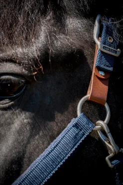 PARTRADE Lami-Cell Fleece-Lined Halter- Halters