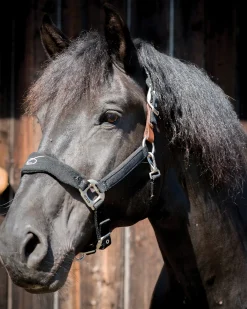 PARTRADE Lami-Cell Fleece-Lined Halter- Halters