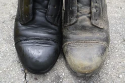 ANIMAL HEALTH INT Leather Therapy® Restorer & Conditioner™- Saddle Covers & Leather Care