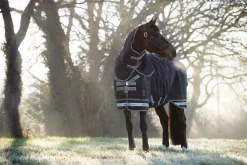 HORSE HEALTH TRADE LeMieux® Arika Storm-Tek 350 Gram Turnout Blanket- Turnout Blankets