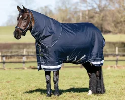 HORSE HEALTH TRADE LeMieux® Arika Storm-Tek 100 Gram Turnout Blanket with Leg Straps- Turnout Blankets